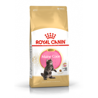 Royal Canin Breed Specific Cat Food - Feline Kitten Maine Coon