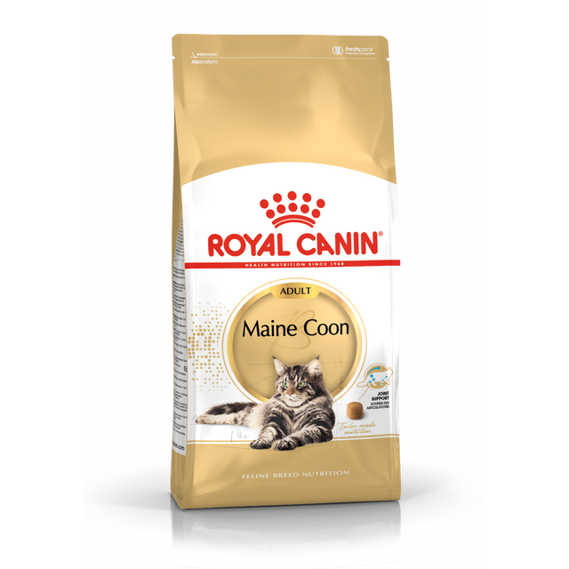 Royal Canin Breed Specific Cat Food - Feline Maine Coon Adult