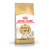 Royal Canin Breed Specific Cat Food - Feline Siamese Adult
