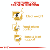 Royal Canin Breed Specific Dog Food - Beagle Adult