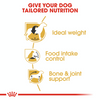 Royal Canin Breed Specific Dog Food - Beagle Adult