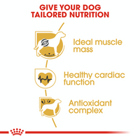 Royal Canin Breed Specific Dog Food - Boxer Adult
