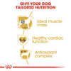 Royal Canin Breed Specific Dog Food - Boxer Adult