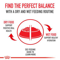 Royal Canin Breed Specific Dog Food - French Bulldog Adult