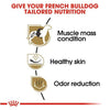 Royal Canin Breed Specific Dog Food - French Bulldog Adult