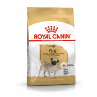 Royal Canin Breed Specific Dog Food - Pug Adult