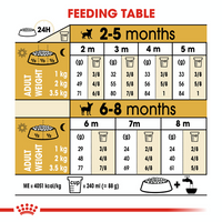 Royal Canin Breed Specific Puppy Food - Chihuahua Puppy