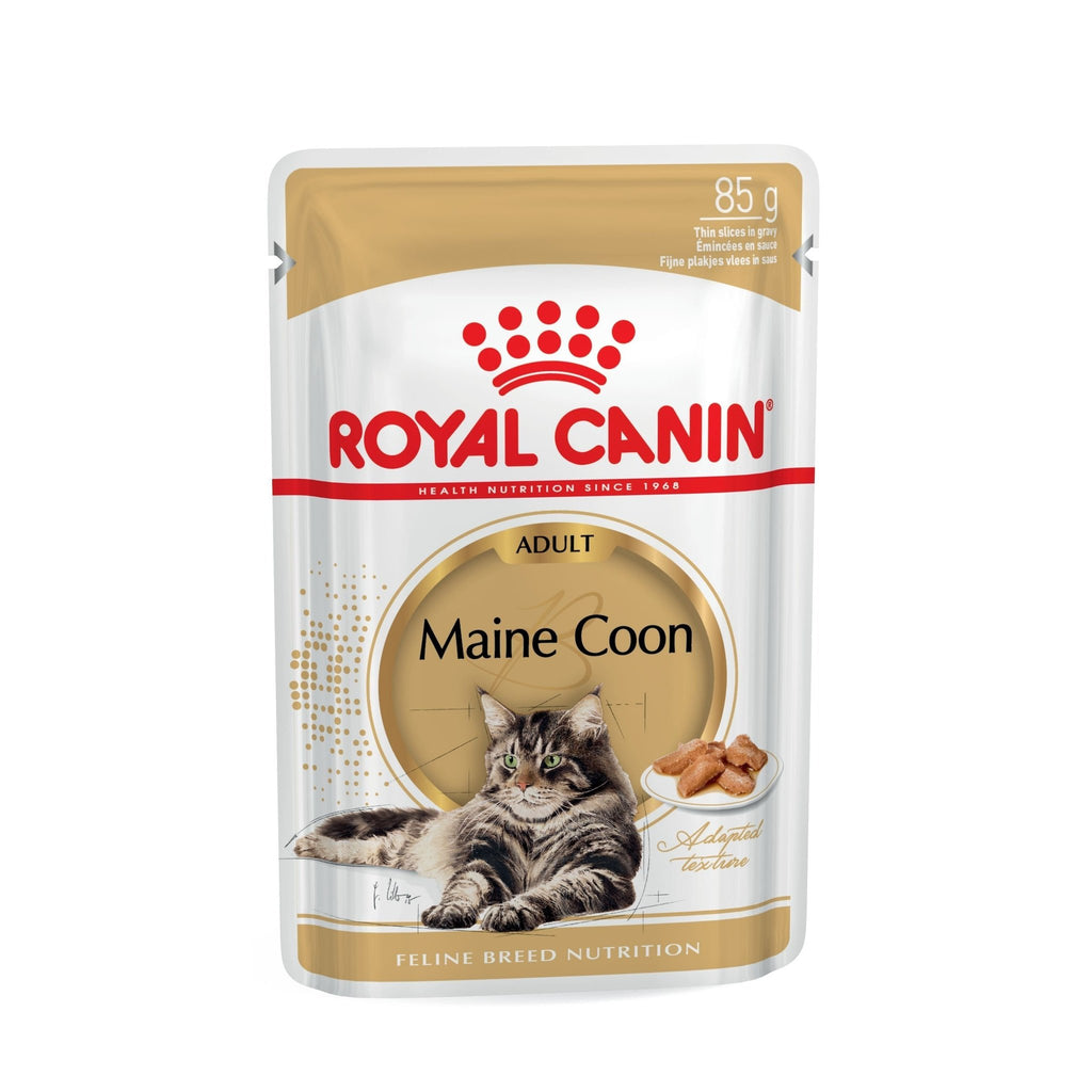 Royal Canin Breed Specific Wet Cat Food - Feline Maine Coon Wet Pouches - Single