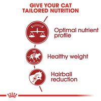 Royal Canin Feline Fit 32
