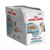 Royal Canin Feline Wet Cat Food - Hairball Care Pouch (Box of 12)