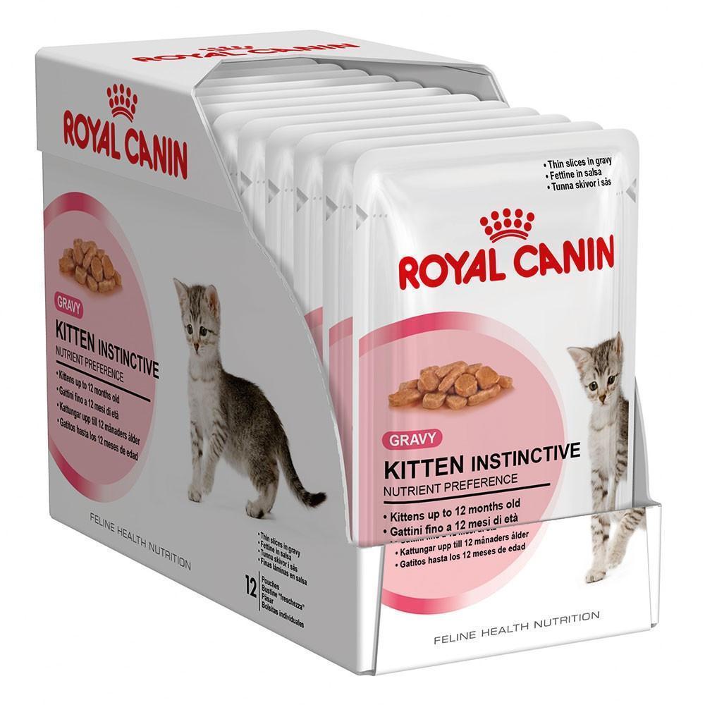Royal Canin Aging Is Kitten Food Ok For Senior Cats Royal Canin