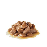 Royal Canin Size Health Wet Dog Food - Mini Adult Pouch (Single)