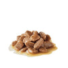 Royal Canin Size Health Wet Dog Food - Mini Adult Pouch (Single)