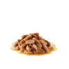 Royal Canin Size Health Wet Dog Food - Mini Puppy Pouch (Single)