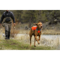 Ruffwear Track Safety Jacket