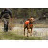 Ruffwear Track Safety Jacket