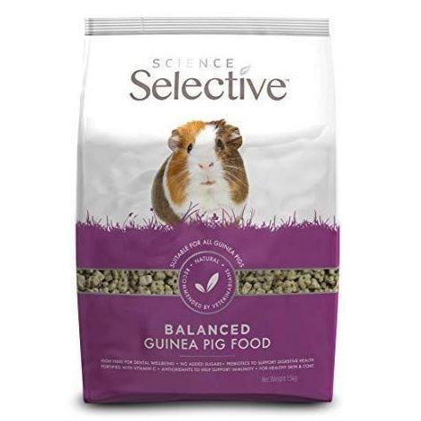 Science Selective Guinea Pig