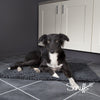 Scruffs Noodle Mat