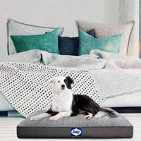 Sealy Cushy Comfy Flat Dog Bed