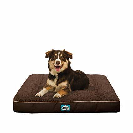 Sealy Cushy Comfy Flat Dog Bed
