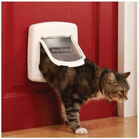 Staywell Pet Door Magnetic Collar Key