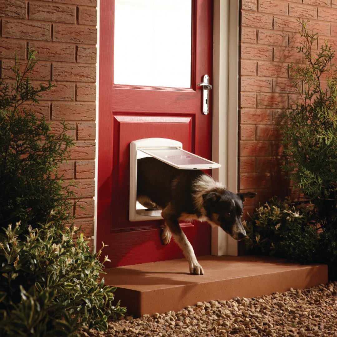 Staywell Pet Door Original Way Medium White 740 Pet Plus