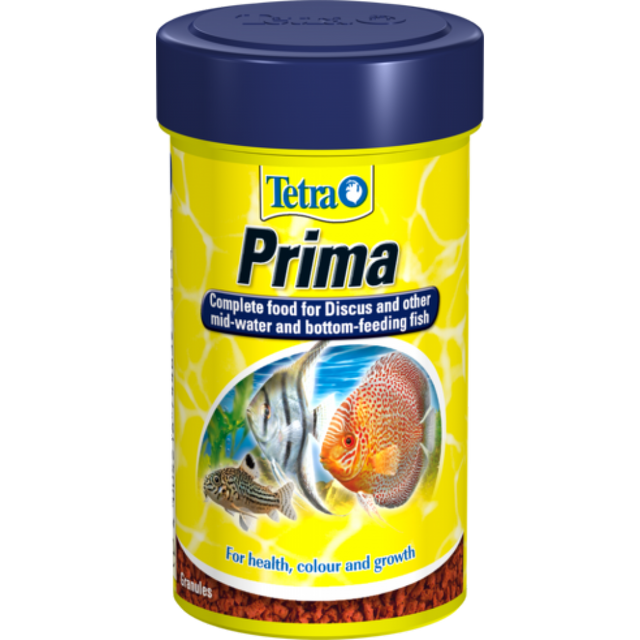 Tetra Prima