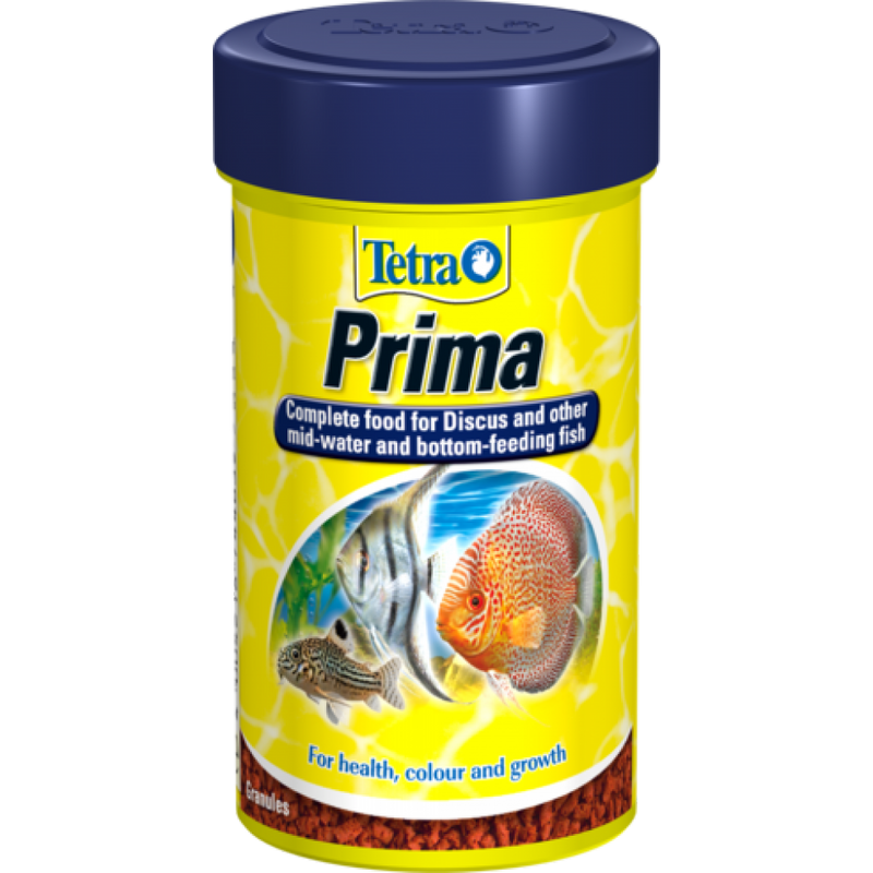 Tetra Prima