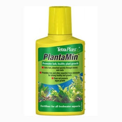 Fish Plant Care