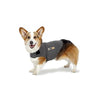 Thundershirts For Dogs Heather Grey