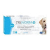 Triworm Dewormer Dog (1 per 10kg) (Box of 50)