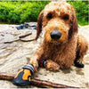 Truelove Pet Shoes