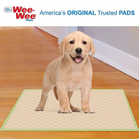 Wee-Wee Eco Dog Training Pads
