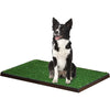 Wee-Wee Patch Indoor Pet Potty