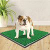 Wee-Wee Patch Indoor Pet Potty Replacement Grass