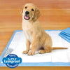 Wee-Wee Pee Pee Everyday Dog Training Pads