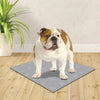 Wee Wee Premium Patch Washable Dog Pee Pads