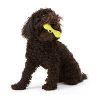 West Paw Hurley Small