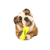 West Paw Qwizl Small