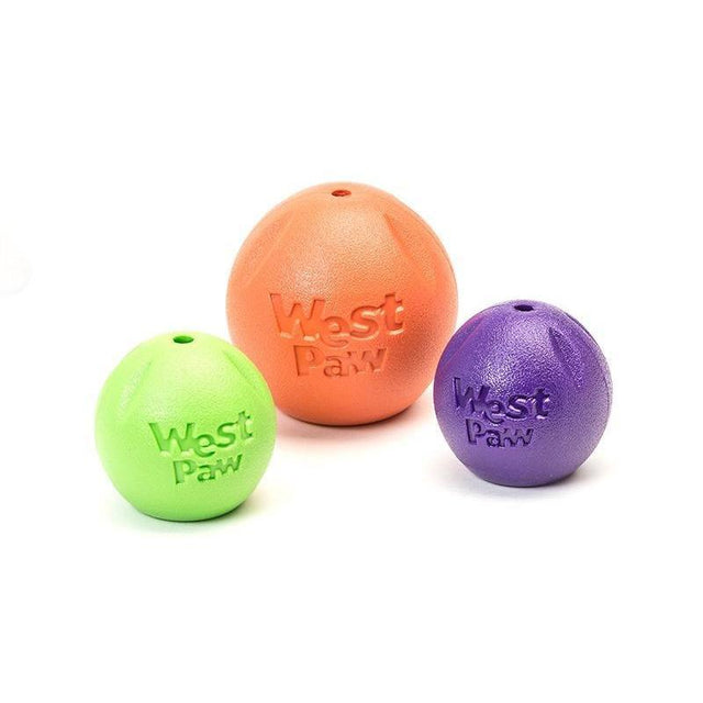West Paw Rando Small