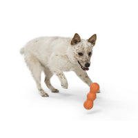 West Paw Rumpus Medium