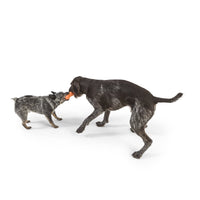 West Paw Rumpus Small