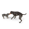 West Paw Rumpus Small