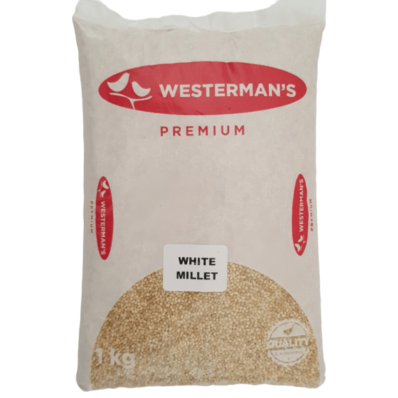 Westerman's White Millet