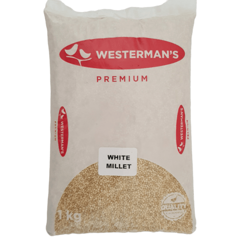 Westerman's White Millet