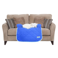 Kunduchi Couch Potato