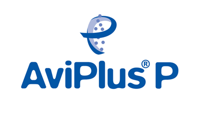 Aviplus