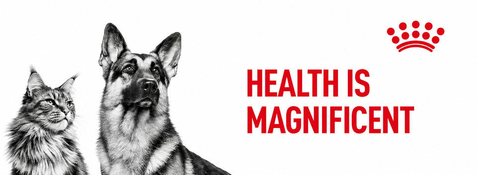 Royal Canin: Health is Magnificent